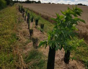 Agir pour la résilience des écosystèmes et l’atténuation du changement climatique