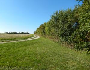 Dans le Pays d'Issoudun, des haies pour protéger l'environnement