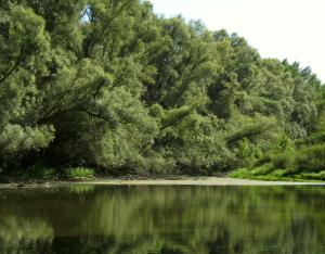 Chapitre Présentation de l'ouvrage, de la région et bilan des listes rouges