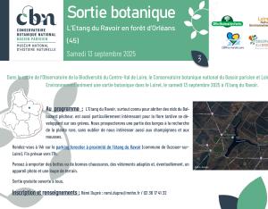 Sortie botanique à l'Etang du Ravoir en forêt d’Orléans (45)