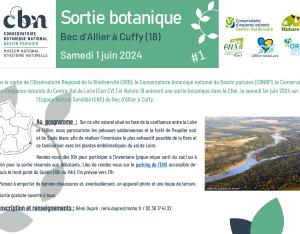 Compte-rendu de sortie botanique au Bec d'Allier (18)