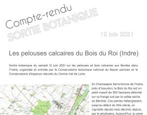 Compte-rendu de sortie botanique au Bois du Roi