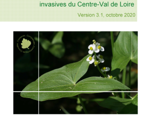 Liste hiérarchisée des espèces végétales invasives du Centre-Val de Loire (rapport) | CBNBP
