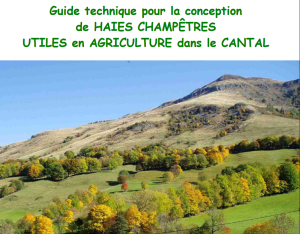 Guide technique pour la conception de haies champêtres utiles en agriculture dans le Cantal