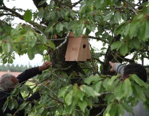 Étude et amélioration de la biodiversité dans le vignoble de l'AOC Chinon