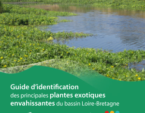 Guide d'identification des principales plantes exotiques envahissantes du bassin Loire-Bretagne |GT EEE
