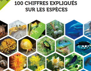 100 chiffres expliqués sur les espèces protégés