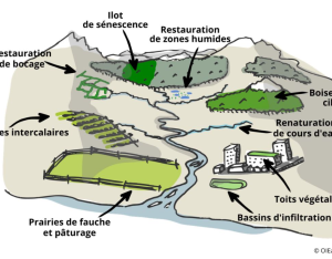 Les mesures naturelles de rétention d’eau : 10 retours d’expérience en France métropolitaine