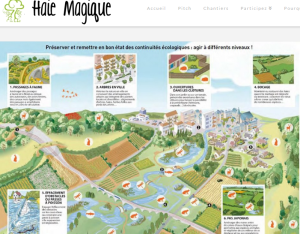 Charte "Haie magique" pour les communes