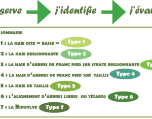 Fiches techniques "Gérer ses haies en Boischaut Sud"