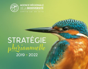 Stratégie pluriannuelle 2019-2022