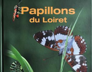 Les papillons du Loiret