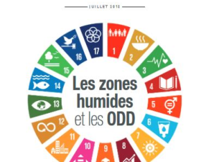 Les zones humides et les ODD