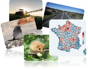 Cartes des pressions sur la biodiversité pour orienter la politique aires protégées