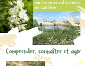 Guide des espèces exotiques envahissantes en carrière