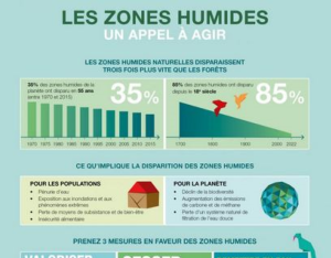 Infographie Zones humides