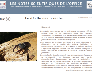 Note de l'OPECST du Sénat sur le déclin des insectes
