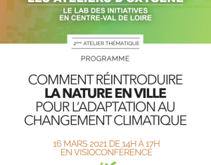 Programme webinaire "comment réintroduire la nature en ville pour l'adaptation au changement climatique"