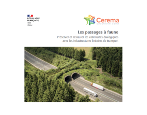 Les passages à faune : Préserver et restaurer les continuités écologiques avec les infrastructures linéaires de transport | CEREMA