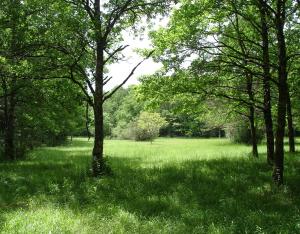 Biodiversité, forêt et surfaces protégées, chiffres 2020