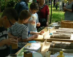 Éducation à la biodiversité, chiffres 2017