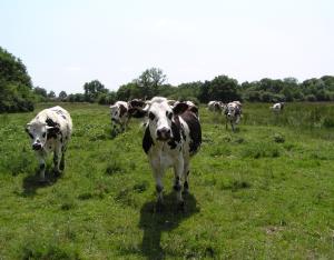 Découvrir les espaces gérés en faveur de la biodiversité en Centre-Val de Loire