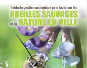 Guide de gestion écologique pour favoriser les abeilles sauvages et la nature en ville