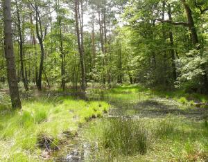 Biodiversité, forêt et gestion durable, chiffres 2018 et 2020