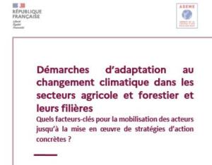 Démarches d'adaptation au changement climatique dans les secteurs agricole et forestier et leurs filières