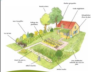 Climato : adapter les espaces extérieurs de mon habitation au changement climatique | CPIE Val de Loire