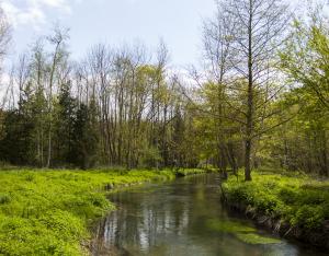 Continuité écologique des milieux aquatiques, chiffres 2021