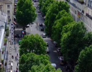 COOLTREES : le rafraîchissement des villes par les arbres - quantification et modélisation pour le développement des villes durables | Plante et Cité