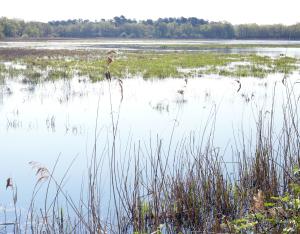 Chiffres-clés de la biodiversité en France et en Centre-Val de Loire