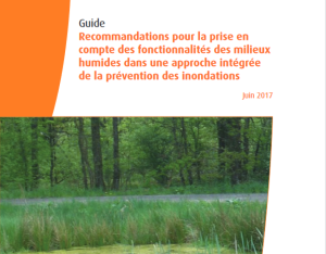 Recommandations pour la prise en compte des fonctionnalités des milieux humides dans une approche intégrée de la prévention des inondations