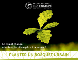 Planter un bosquet urbain