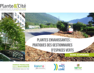 Plantes envahissantes - Pratiques des gestionnaires d'espaces verts | Plante et cité