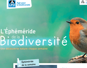 L'éphéméride de la biodiversité | LPO France