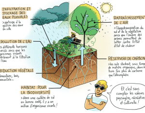 BD "Les super pouvoirs des sols" | Cerema