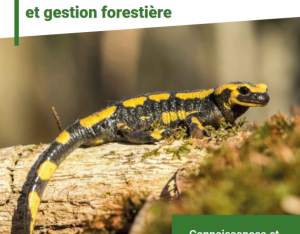 Biodiversité et gestion forestière | CNPF Hauts-de-France