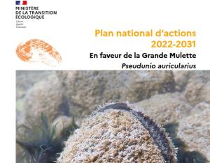 Plan national d’actions 2022-2031 en faveur de la Grande Mulette