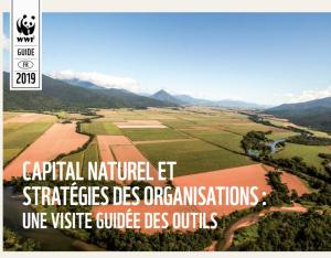 Capital naturel et stratégies des organisations : une visite guidée des outils