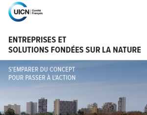 Entreprises et Solutions fondées sur la nature : s’emparer du concept pour passer à l’action