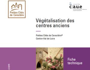 Végétalisation des centres anciens | CAUE41