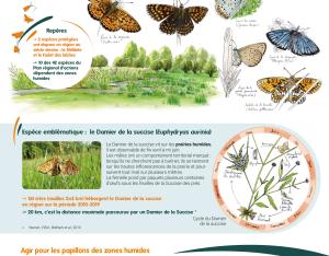 Poster sur les papillons de jour des zones humides