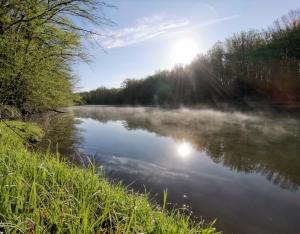 Chiffres-clés de la biodiversité en Centre-Val de Loire