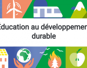 Plateforme Education au Développement Durable