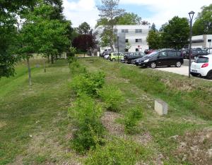 Fascicule Entreprise et biodiversité