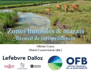  Zones humides & marais. Recueil de jurisprudences 