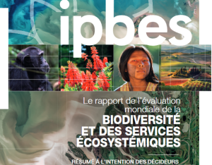 Rapport de l'IPBES - Évaluation mondiale de la biodiversité et des services écosystémiques - résumé à l'intention des décideurs