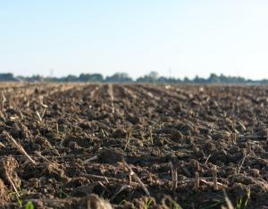 Gestion des friches : les solutions fondées sur la nature | BRGM